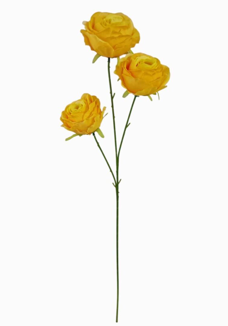 Image_20260421212859_916_90