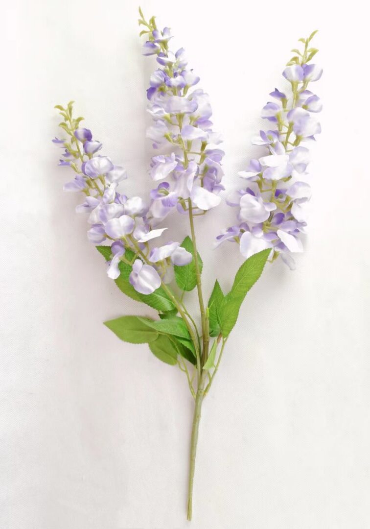 Lilac W3