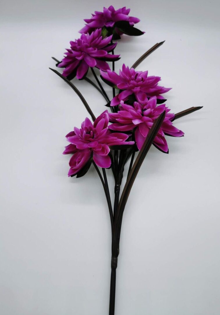 Magenta Purple Water lily
