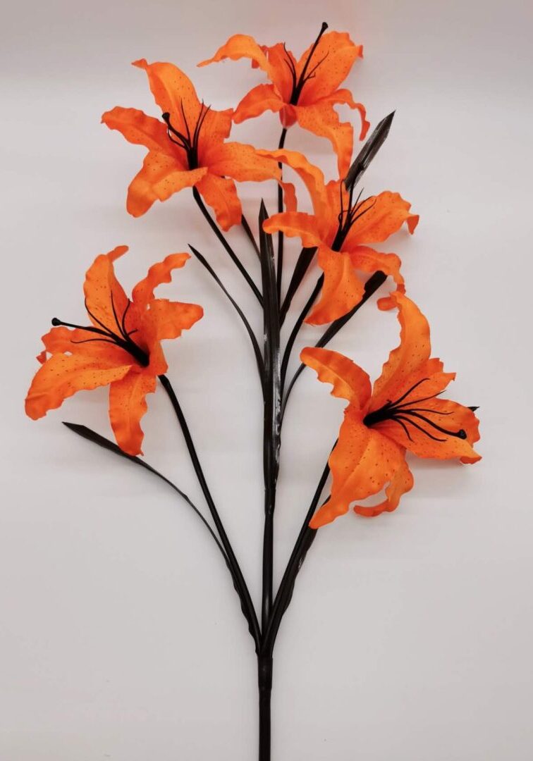 Open Lily Orange