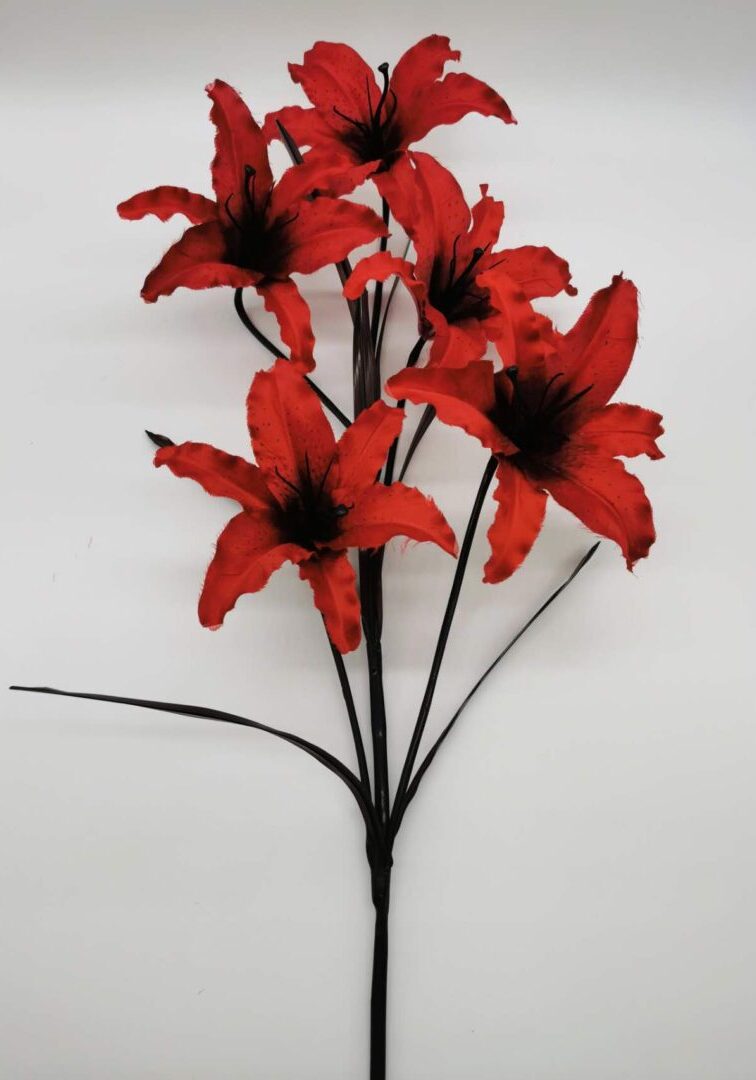Open Lily Red