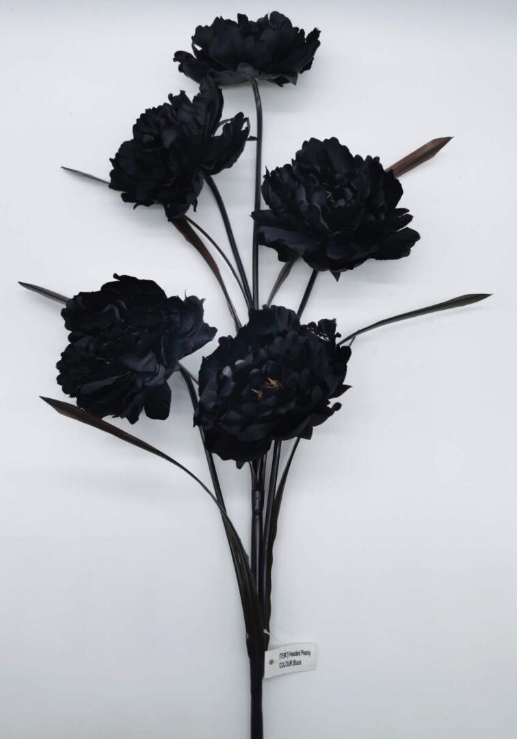 Peony Stem Black