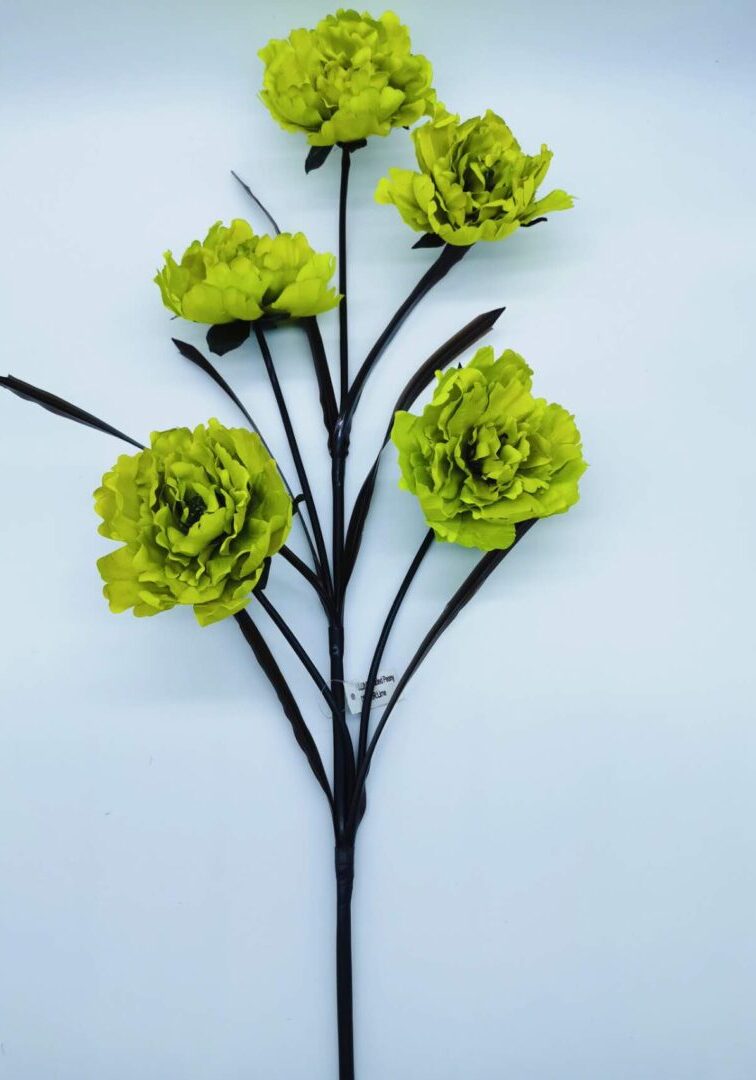 Peony Stem Green