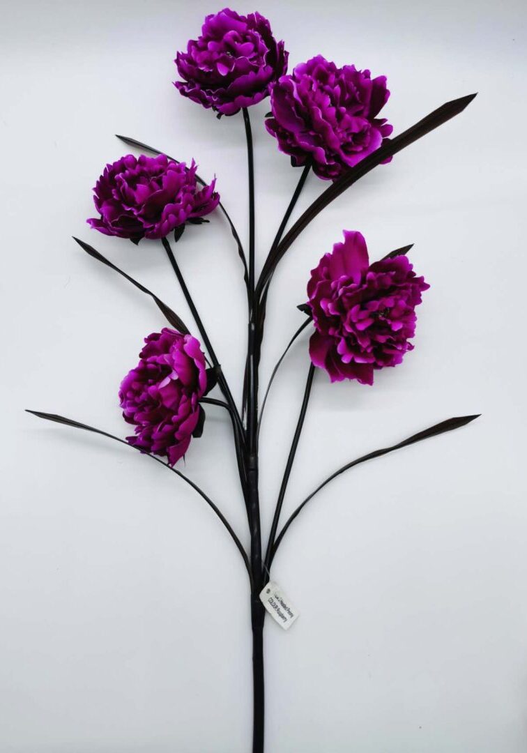 Peony stem Purple