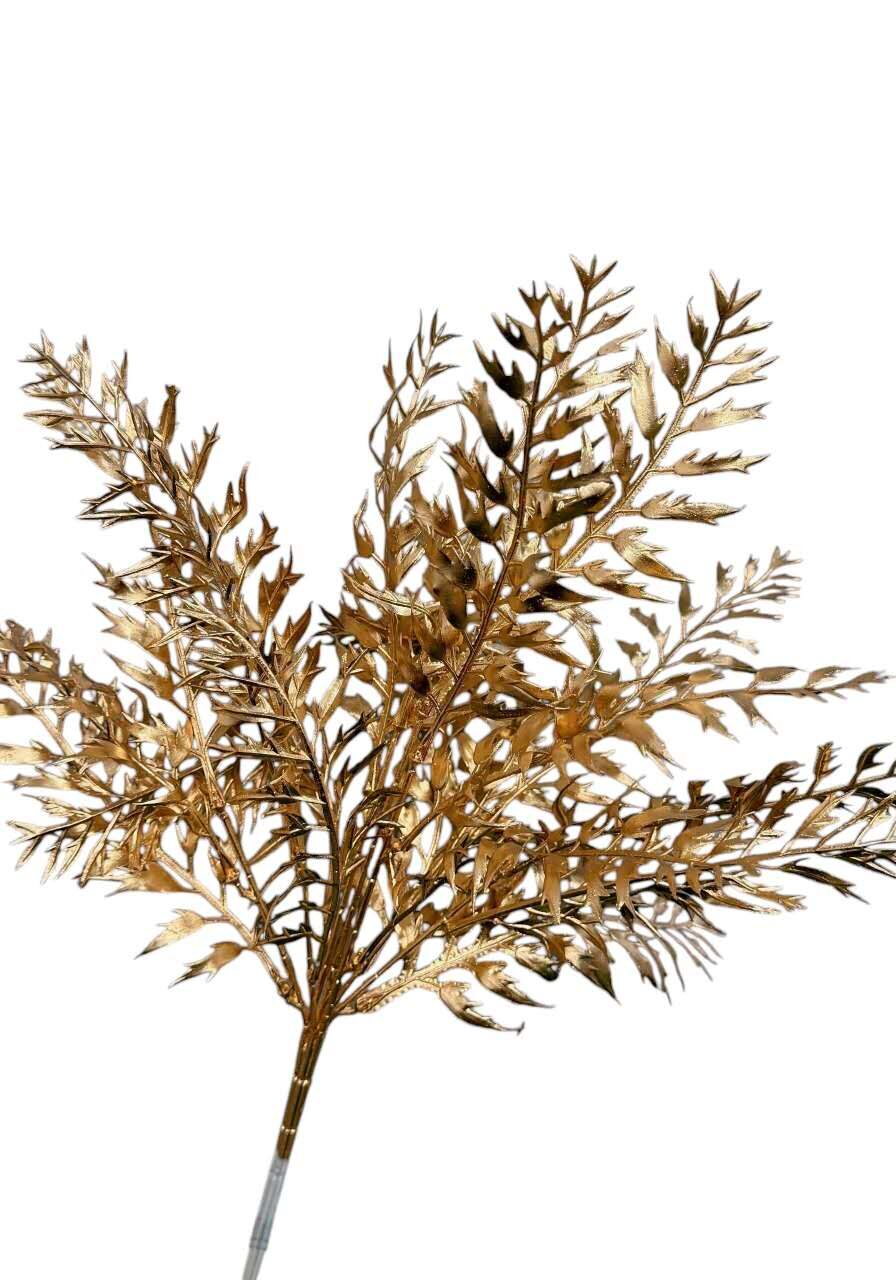RUSCUS