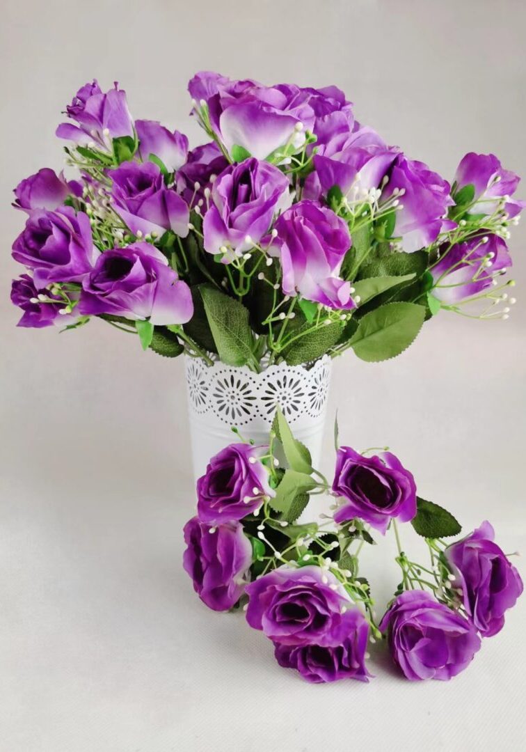 Rose gyps Purple Single