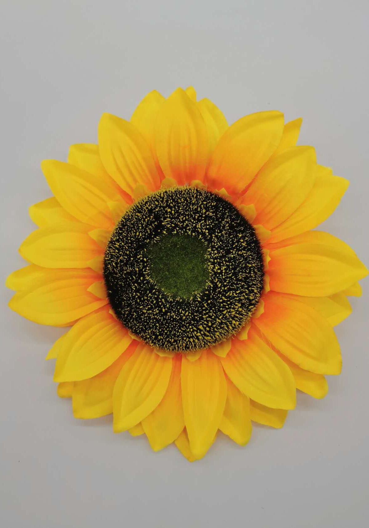 Single Stem Giant Sunflower (3)