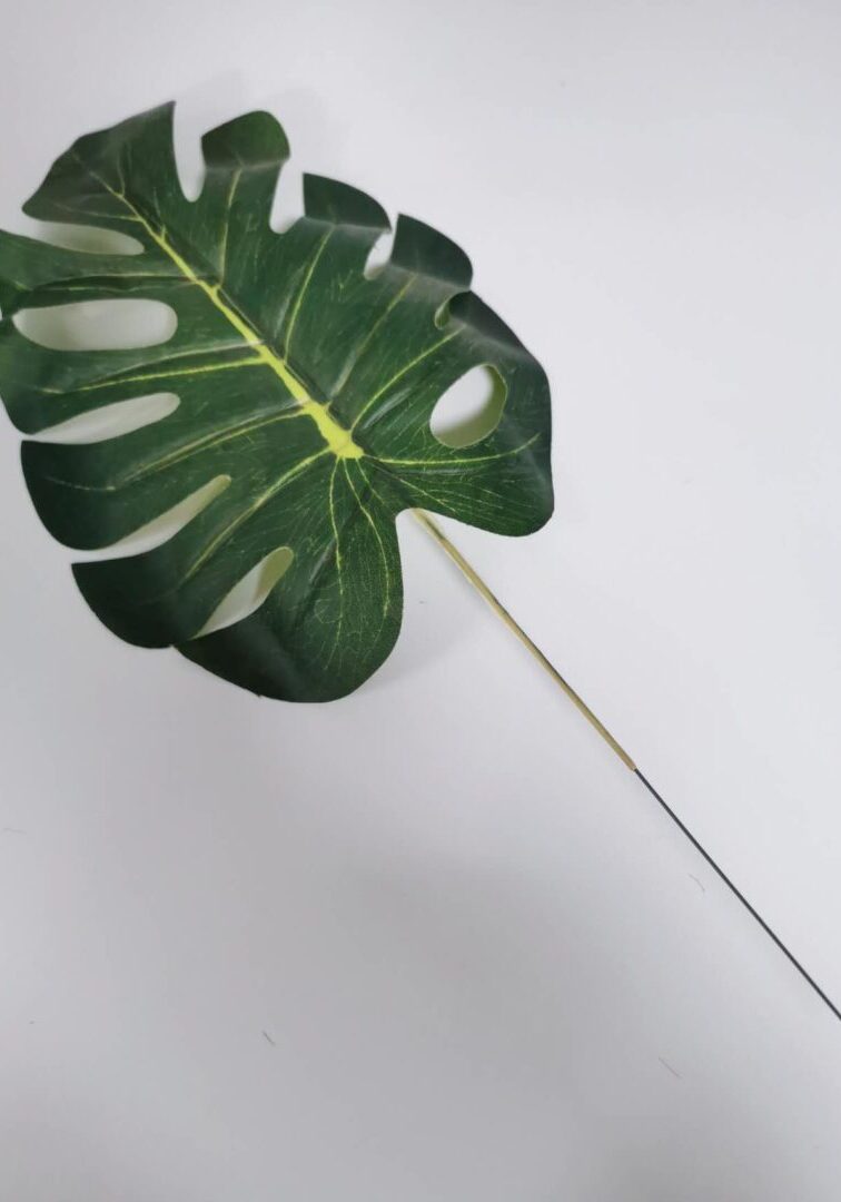 Split leaf