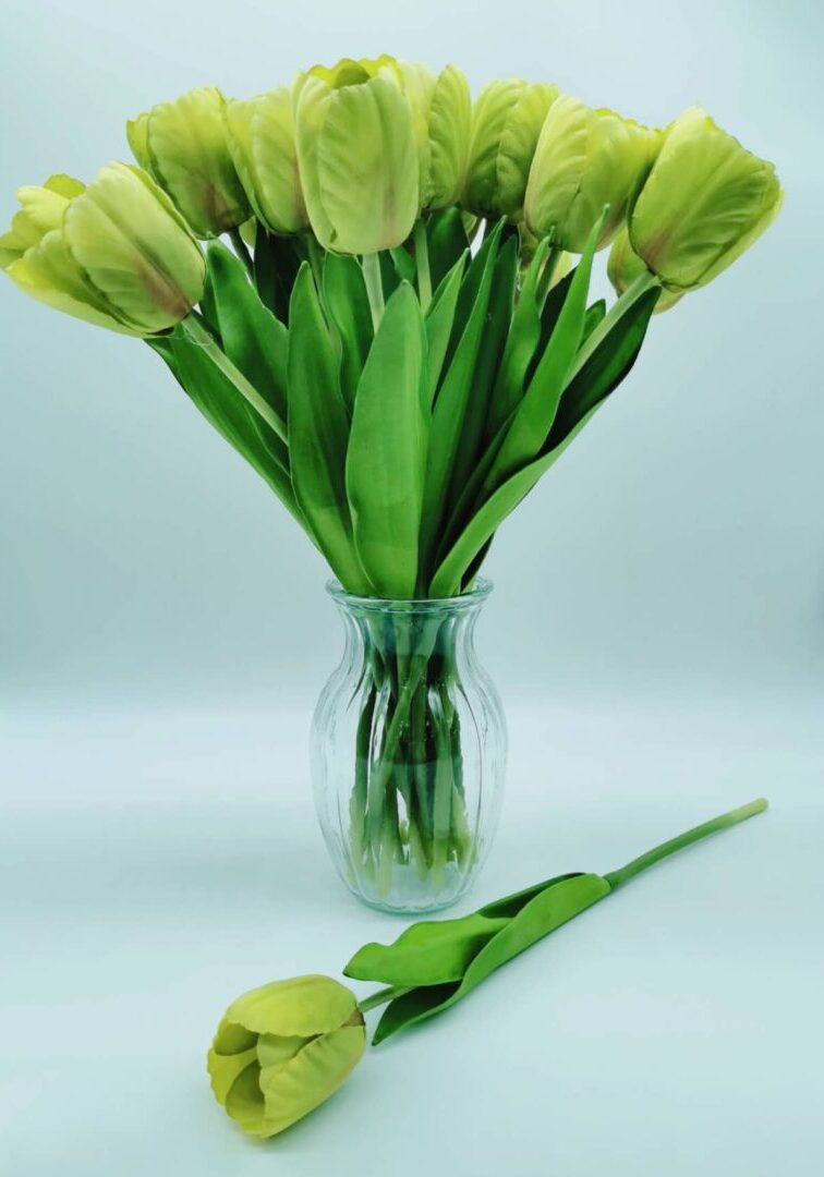 TULIP LIME GREEN