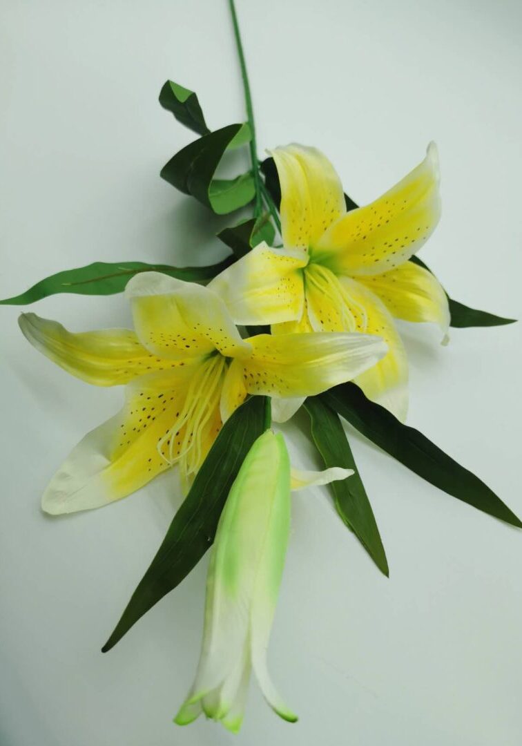 Tiger Lily Yellow 1