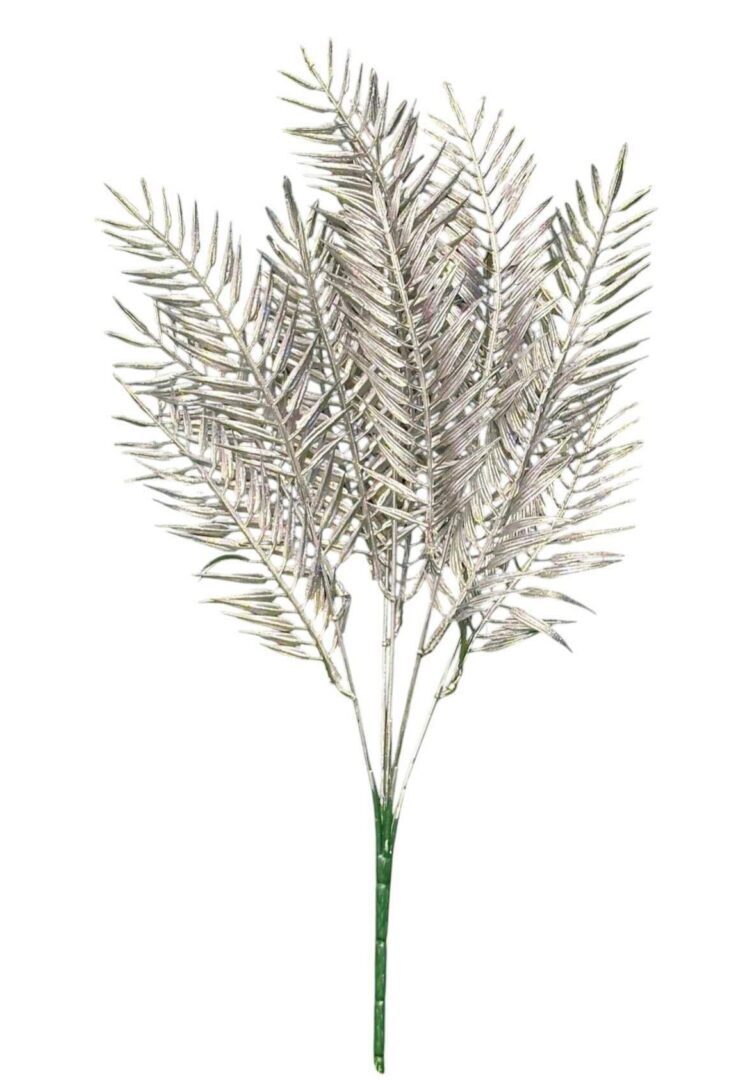 fern