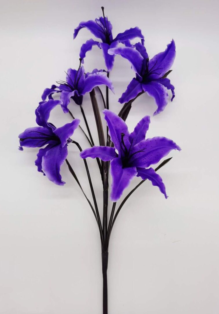 open lily purple