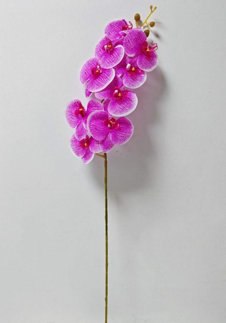orchid new pink]