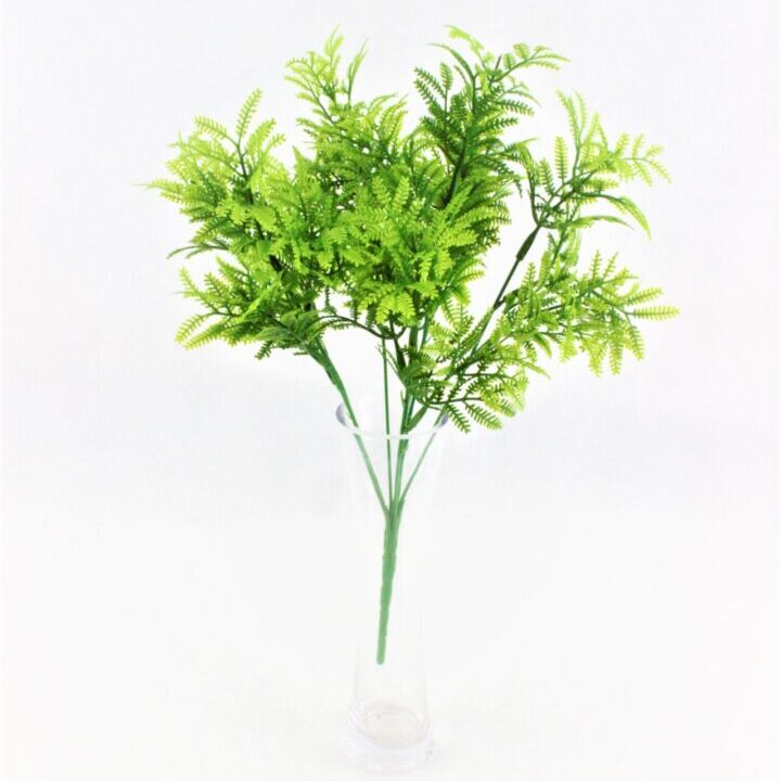 細葉香Selaginella